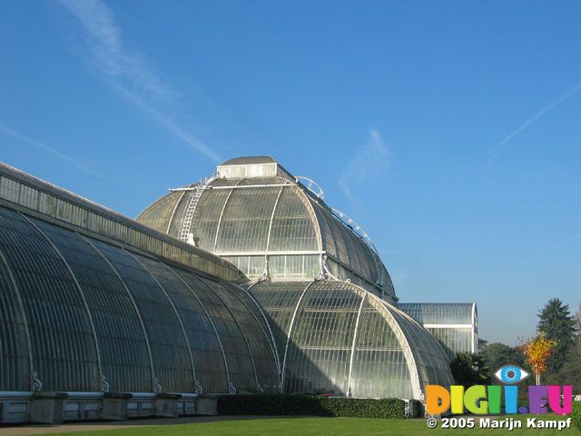 15396 Palm house - Victorian Glasshouse